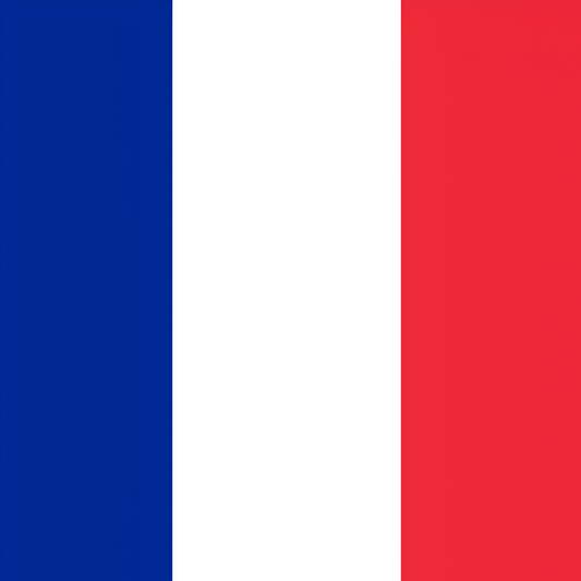 France Flag