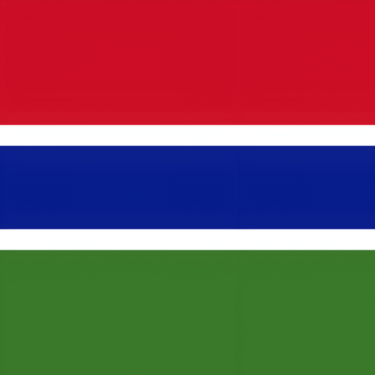 Gambia Flag