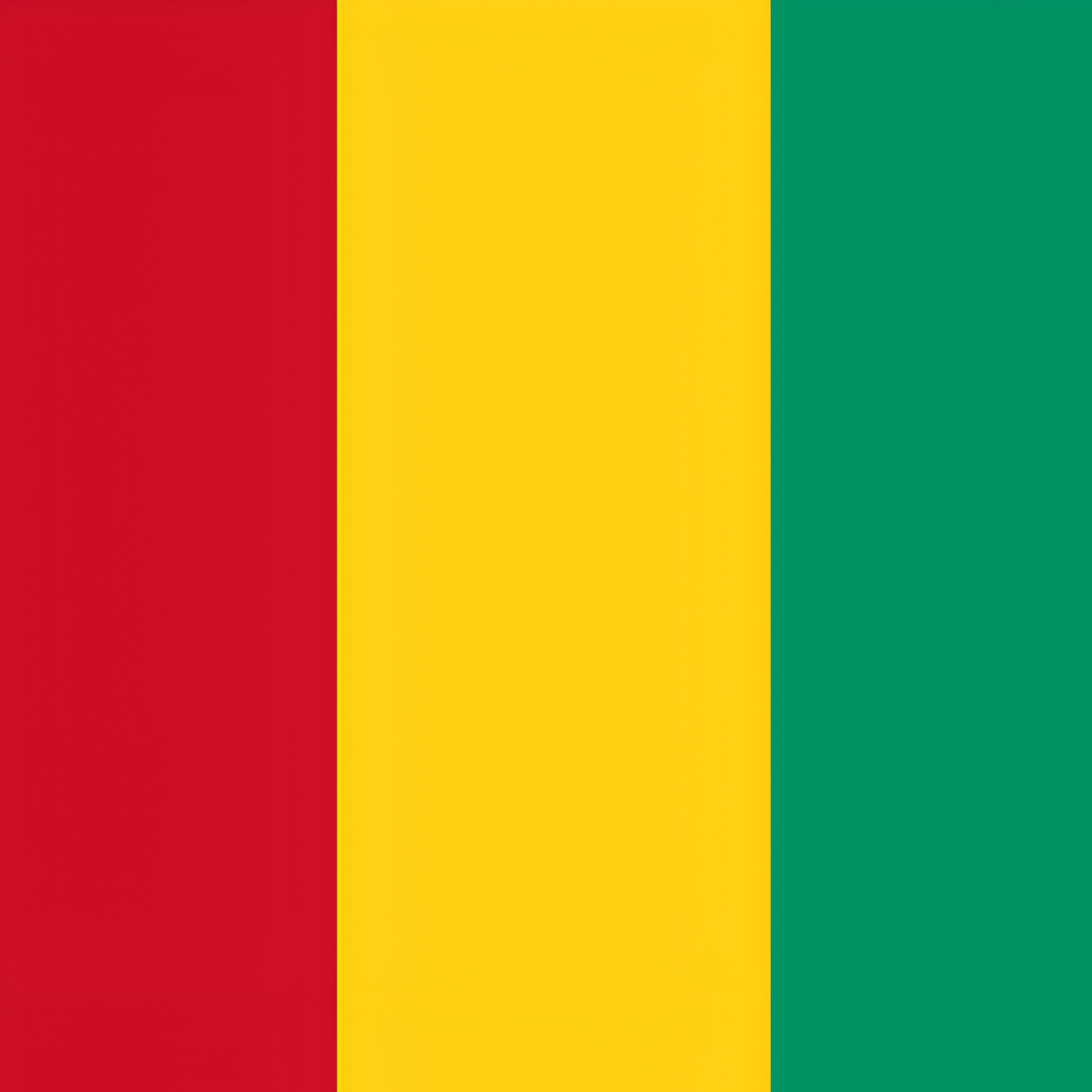 Guinea Flag