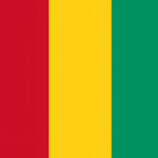 Guinea Flag