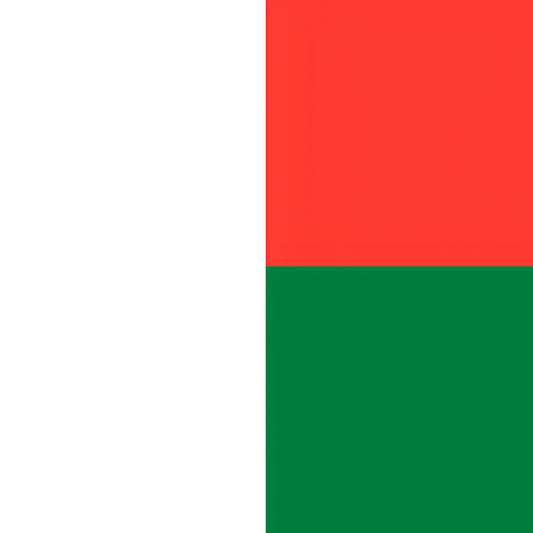 Madagascar Flag