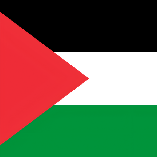 Palestine Flag